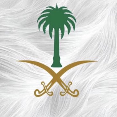 أبو ريان tweet media