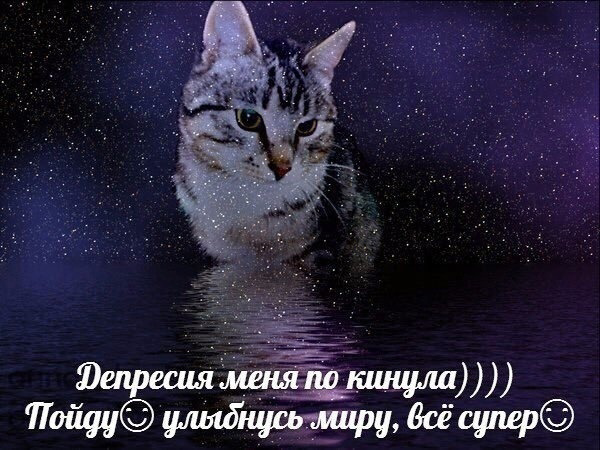 наташа алкатель tweet media