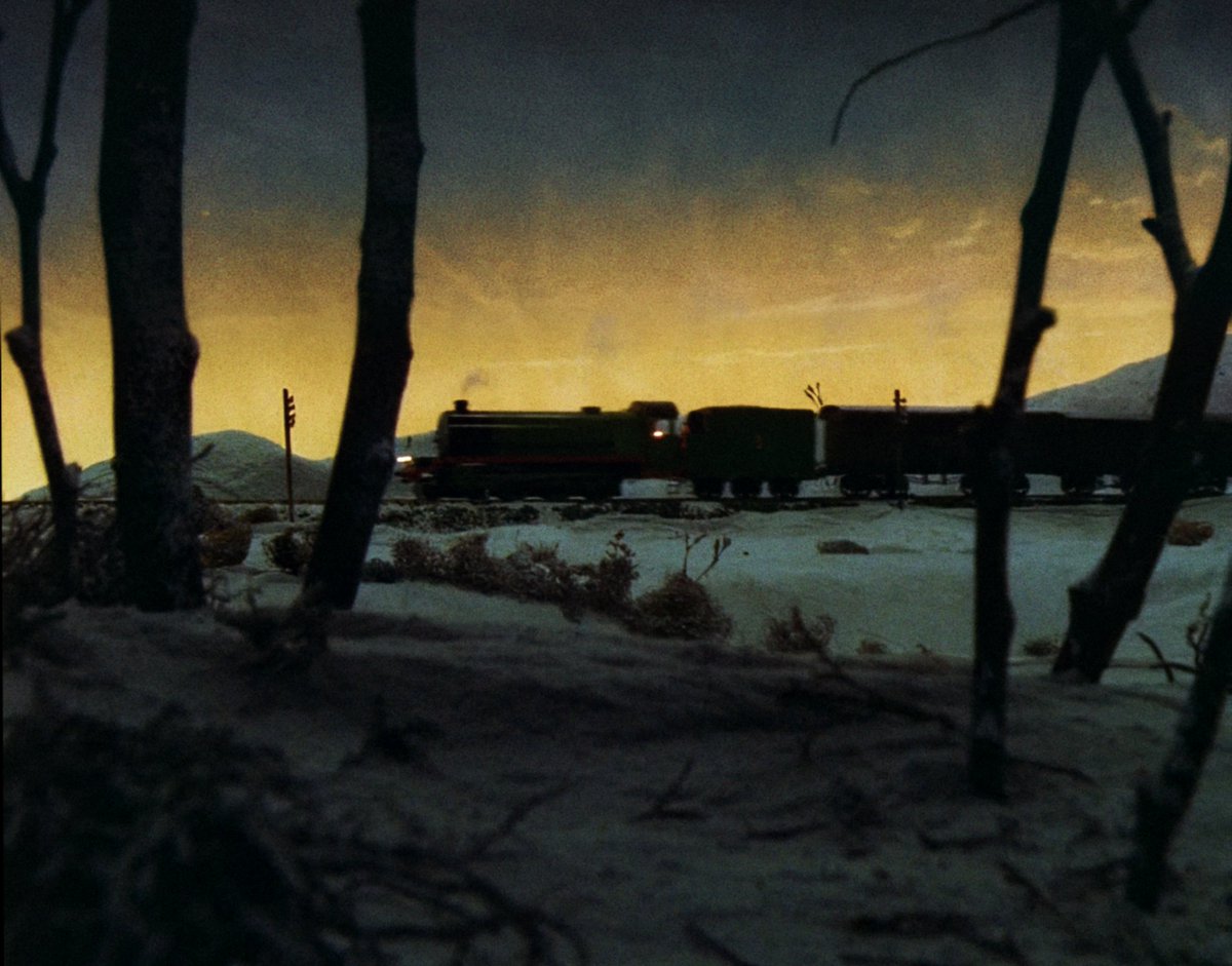 carty™ tweet media