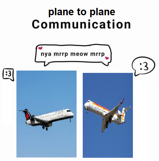 Blackburn Firebrand official fanpage tweet media