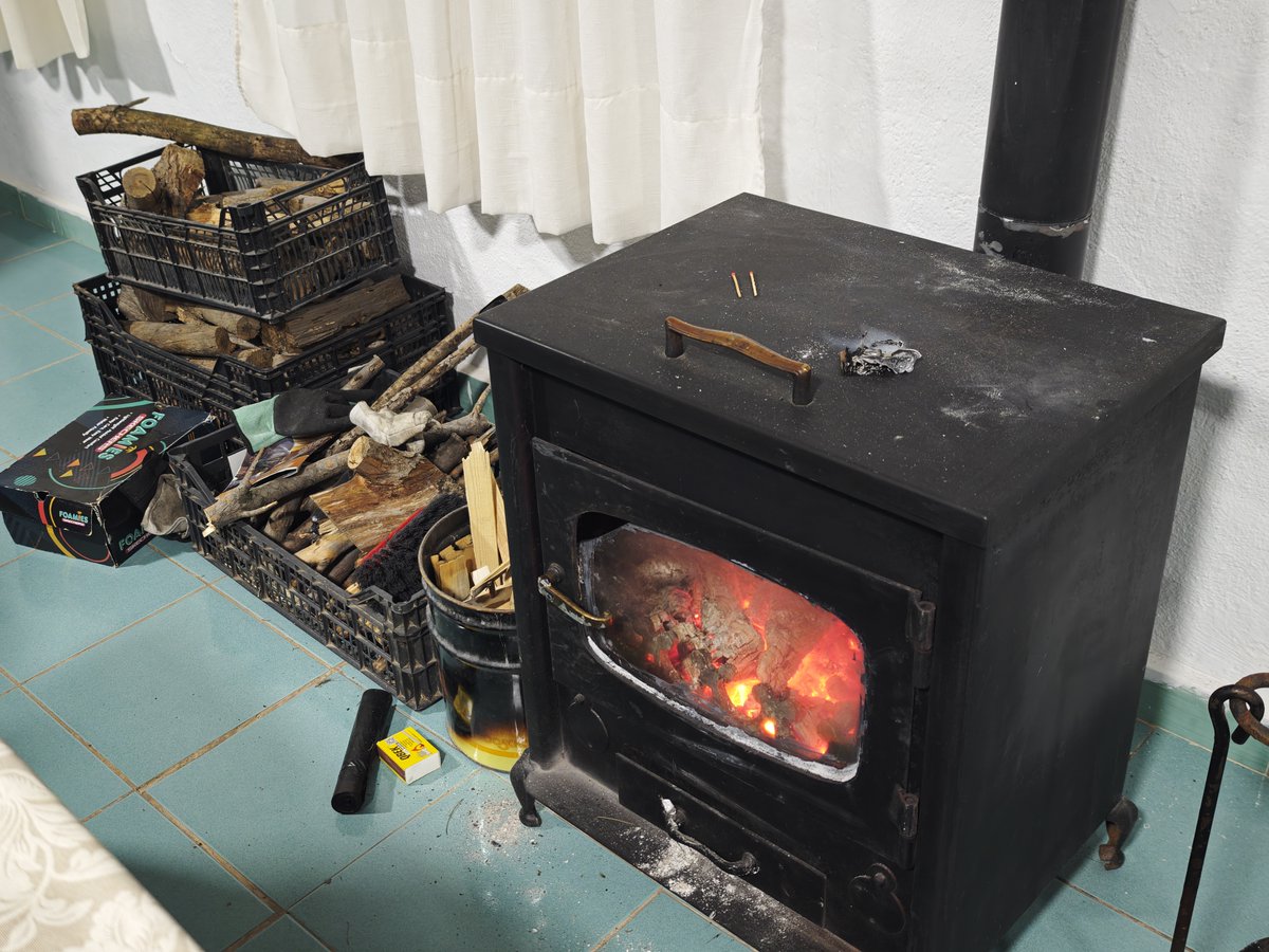 Katy Sánchez 🐞 tweet media