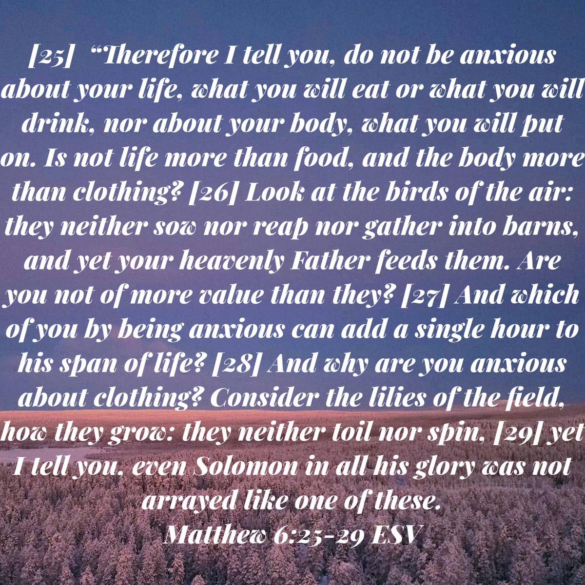 Webster Bible Church tweet media