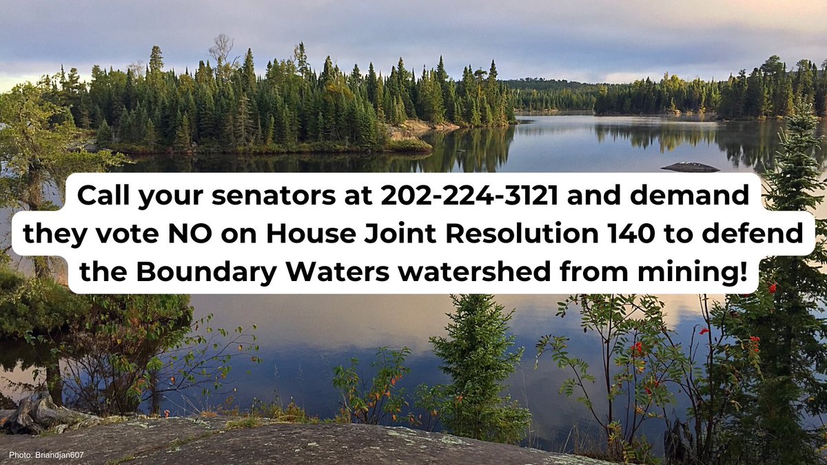 Wilderness Watch tweet media