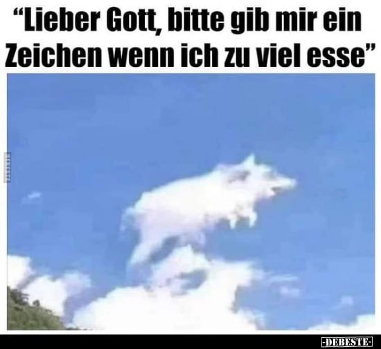 DerMedienfuzzi tweet media