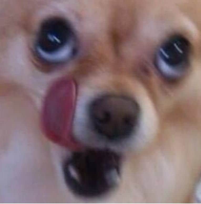 문__범 tweet media