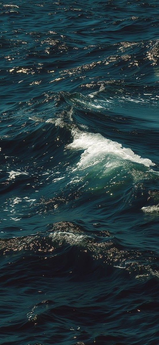 جمال الطبيعة tweet media