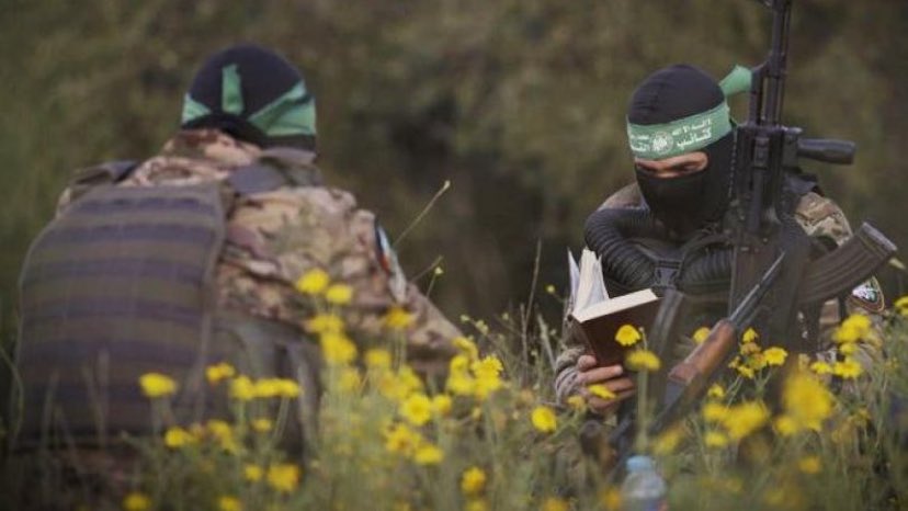 𝙕𝙚𝙧𝙮𝙖🌷 tweet media