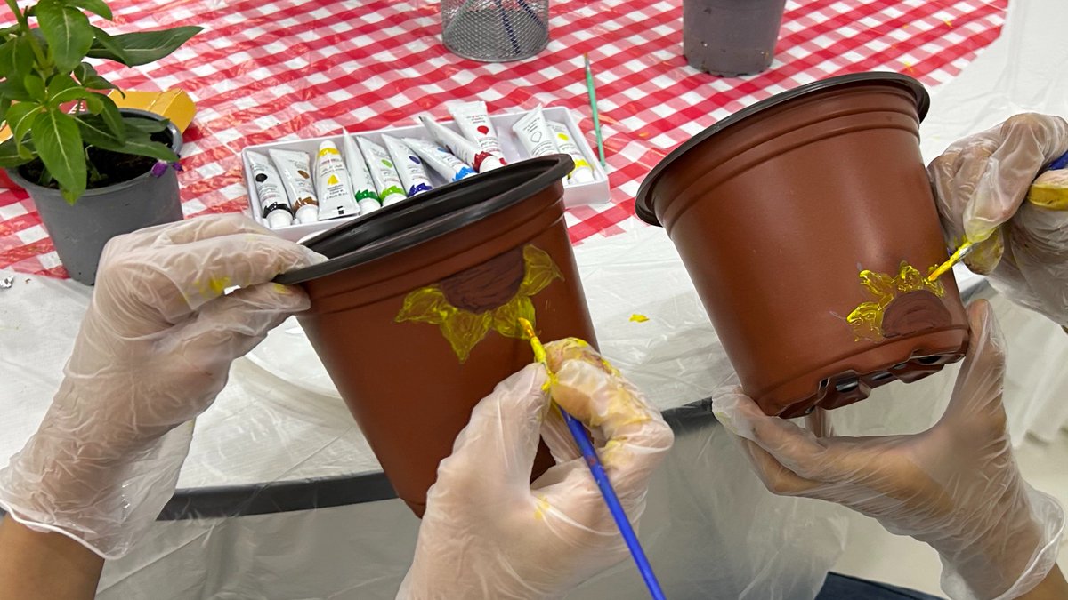 تنمية عيون الجواء tweet media