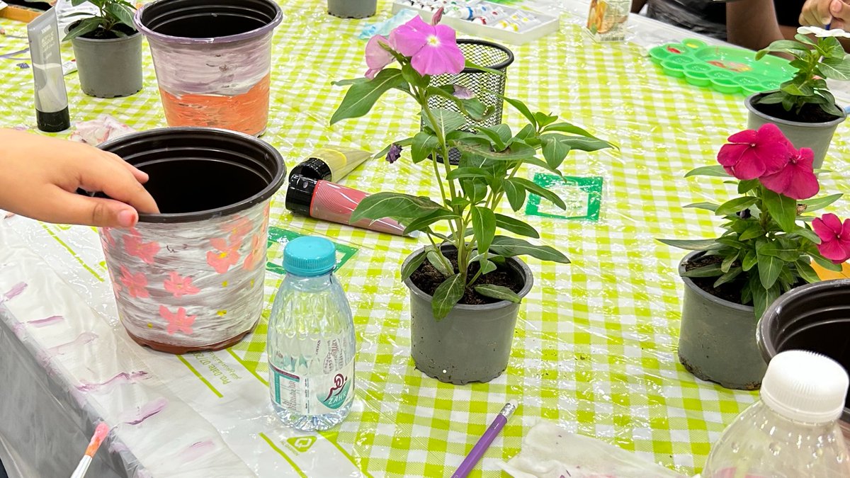 تنمية عيون الجواء tweet media