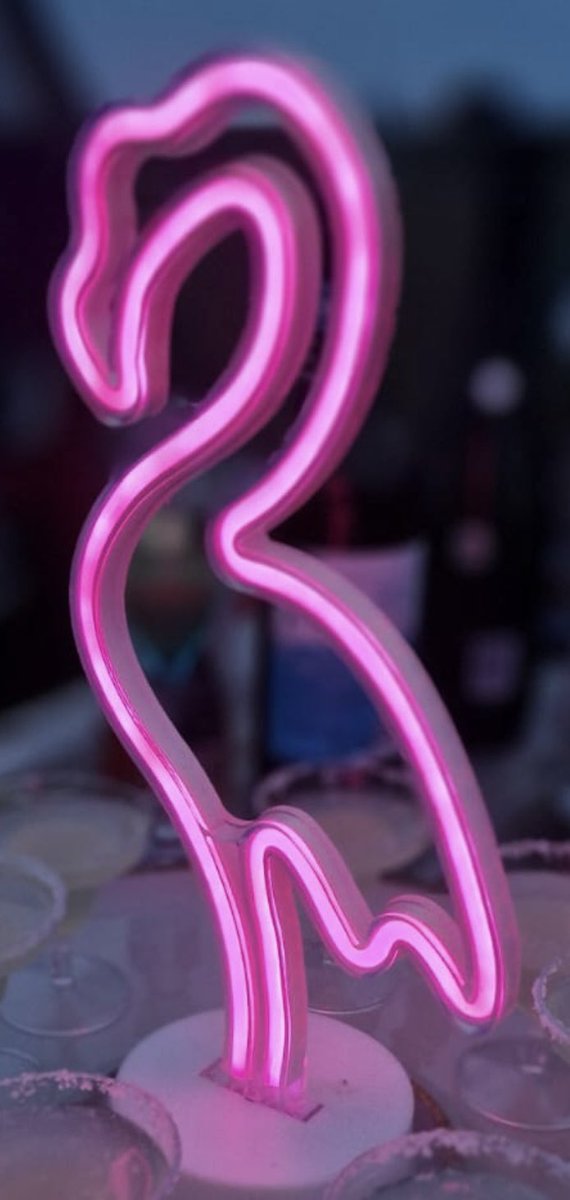 nreillyjohnson's tweet image. They think they’re so clever at conferences, shoehorning a random #word into all their presentations for a laugh.

They’ll regret today’s choice of word here, though. Local lore says mentioning it 4 times in 1 day summons The Flamingo.

3 so far…
And 4.

Here it comes… #vss365
