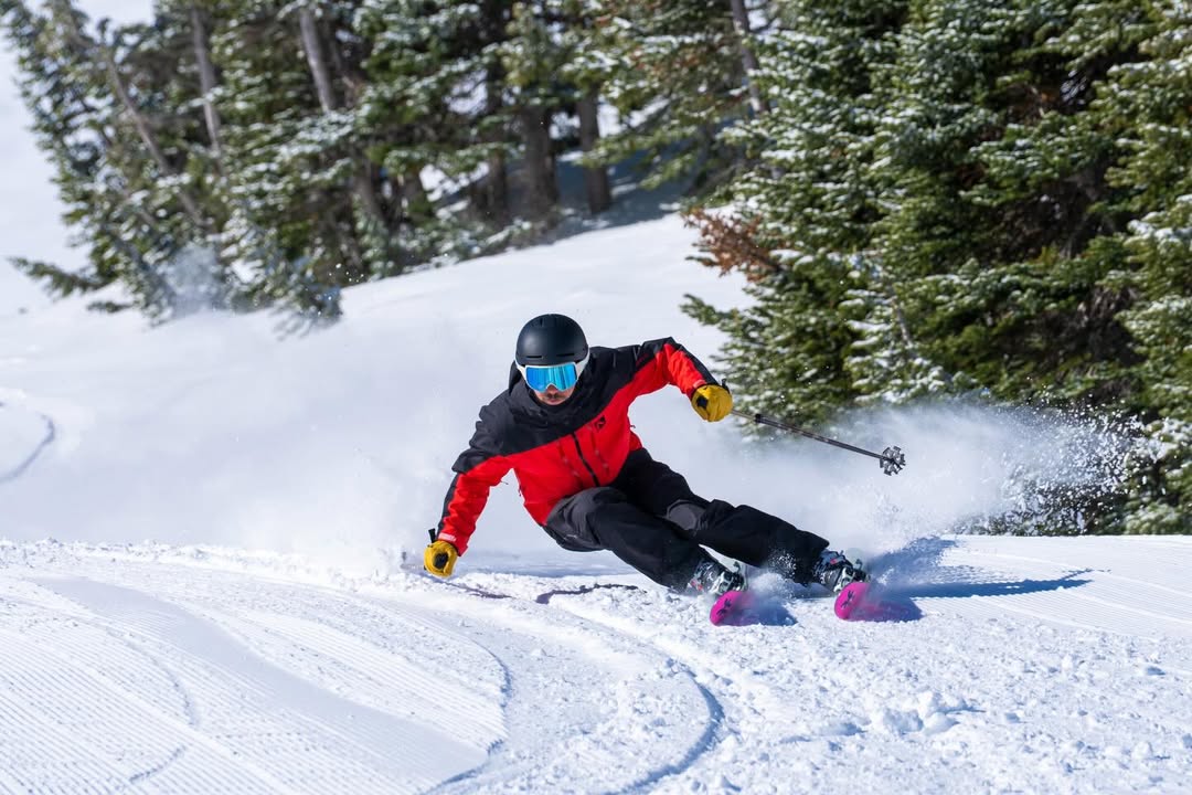 Snowbird tweet media