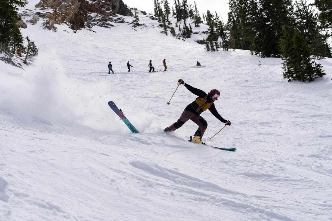 Snowbird tweet media