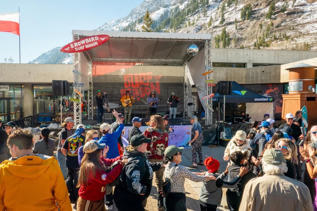 Snowbird tweet media