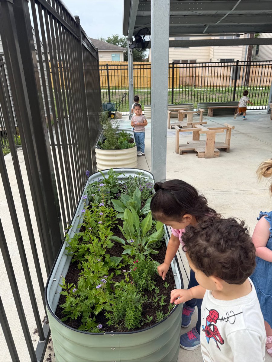 DVISD_CDC's tweet photo. It’s Work Together Wednesday! Today was all about teamwork and cooperation! The children collaborated building with blocks, helping in the garden and working side by side during art activities. We’re so proud of their teamwork today. #wotyc2026 #cdclildragons https://t.co/ad7rzE3dPG