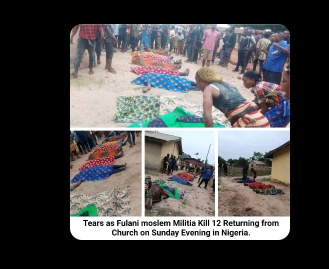 Chioma Nwanne tweet media