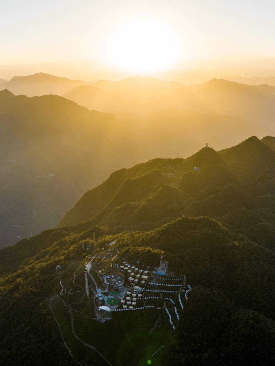 Plessis nickolas tweet media