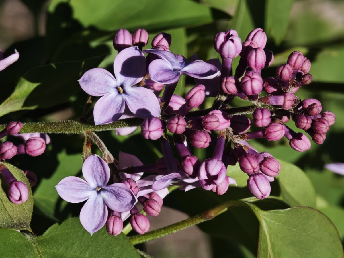 Katy Sánchez 🐞 tweet media