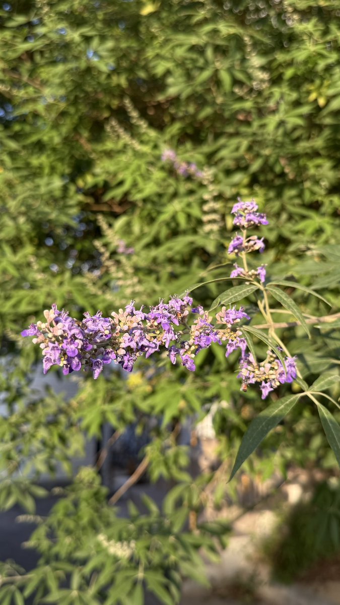 نُوره🌖🪻🪻 tweet media