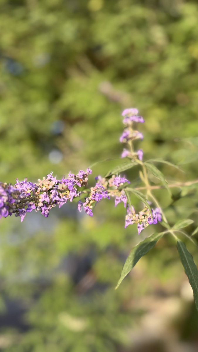 نُوره🌖🪻🪻 tweet media