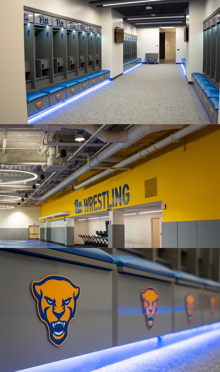 Pitt Wrestling tweet media