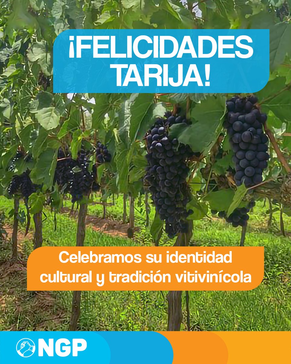 NGP_Bol's tweet photo. En su 209 aniversario, rendimos homenaje al pueblo de Tarija: tierra de trabajo, identidad y riqueza natural. Orgullo del desarrollo regional. #Bolivia #NuevaGeneracion #NGP #Uriona #Tarija https://t.co/Ldbec5j3NC