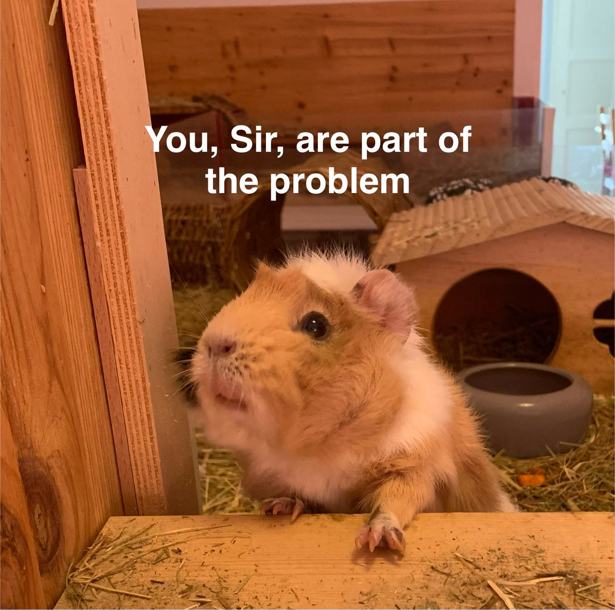 „Er muss nur die richtige Frau treffen, dann ändert er sich“, Bro, wir sind keine Katalysatoren für deine Probleme und auch nicht deine Mutti 😌