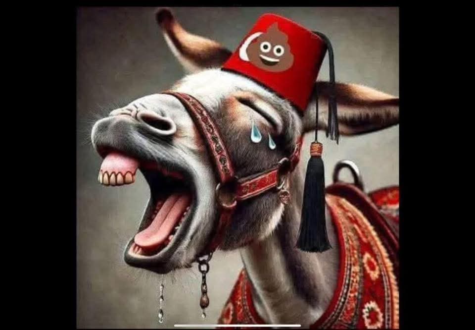 aelguf's tweet photo. @_hozturk_ @haaha_bou https://t.co/ev8HTRDPAr