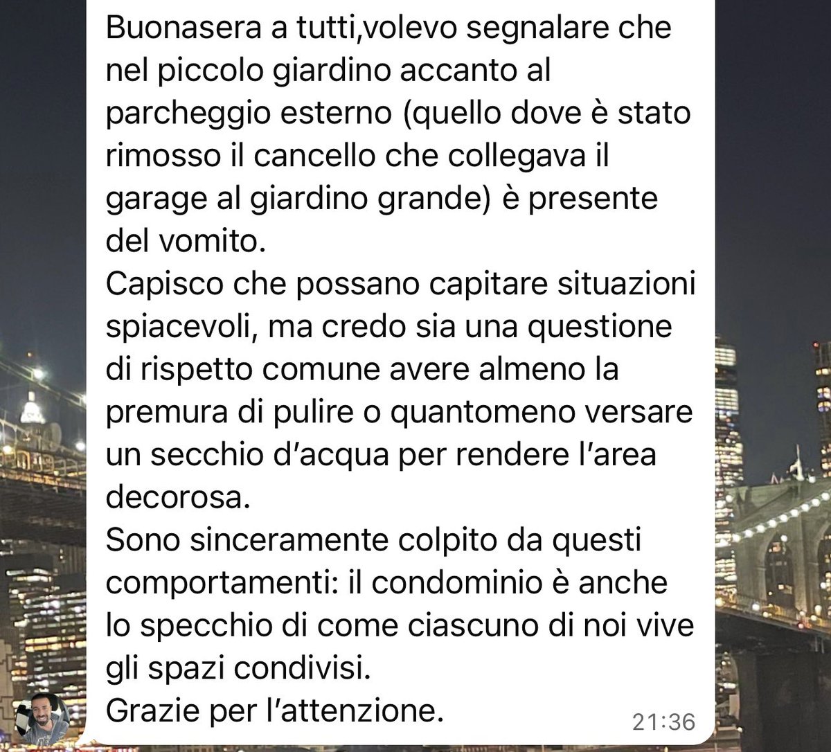 lapaperotta's tweet photo. Le chat del condominio sono la cosa più bella al mondo https://t.co/e93K5FllXL