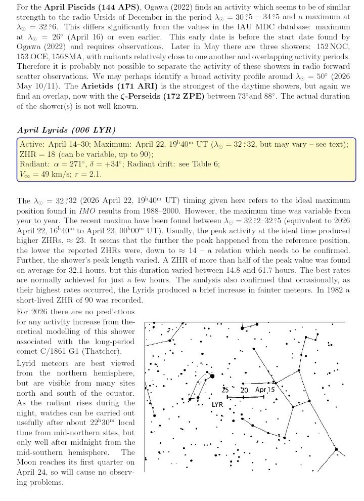 🐝 free to 🐝 free tweet media