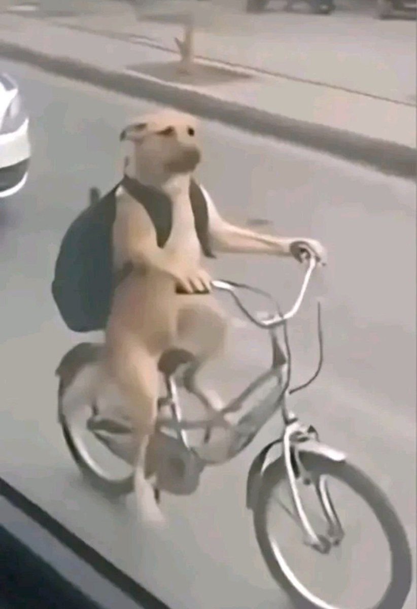 ೨౿ 𝐀𝐥𝐥𝐢'𝐬 𝐛𝐥𝐨𝐠 🐊 tweet media