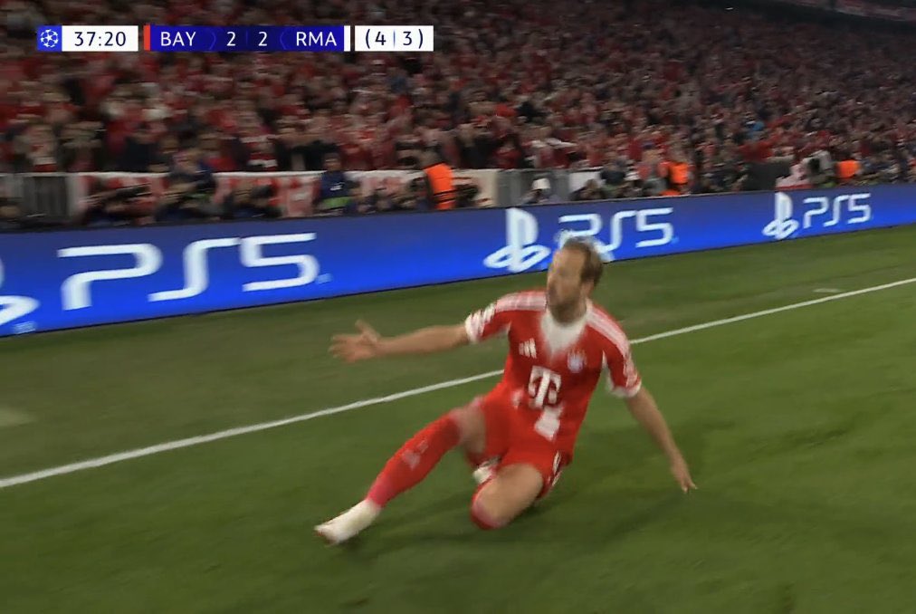 Berneese tweet media