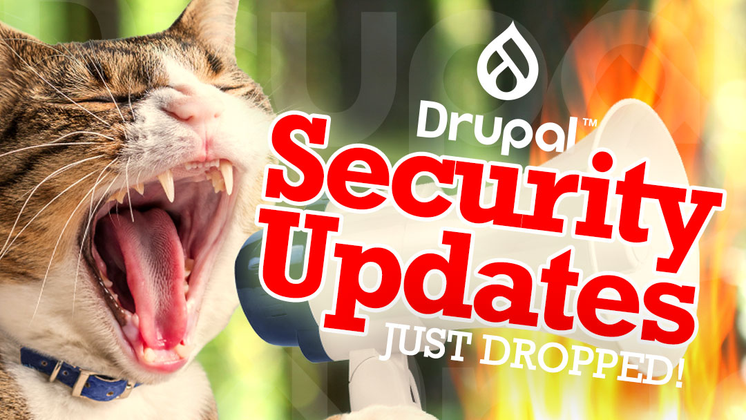 drupalaid's tweet image. #Drupal site owners — Drupal core (core) has a CRITICAL security update.

Update to 11.3.7/10.6.7 if you're on Drupal 10/11.