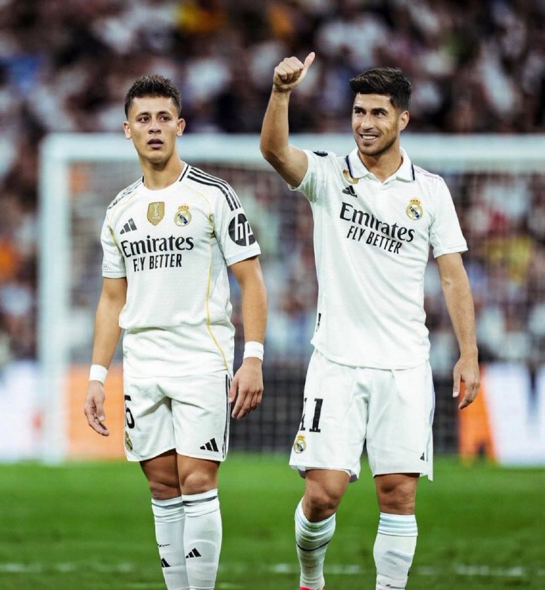 334 FENER tweet media