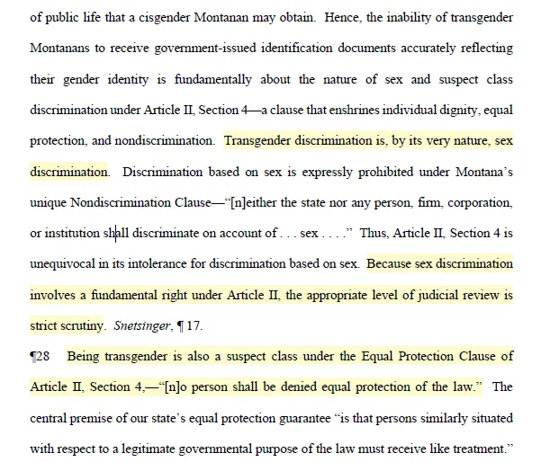 Matthew Segal tweet media