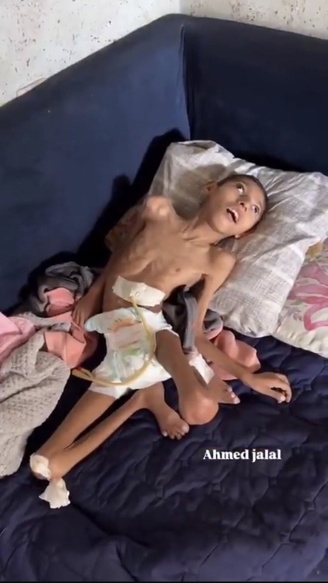 Mohamed S Faraj tweet media