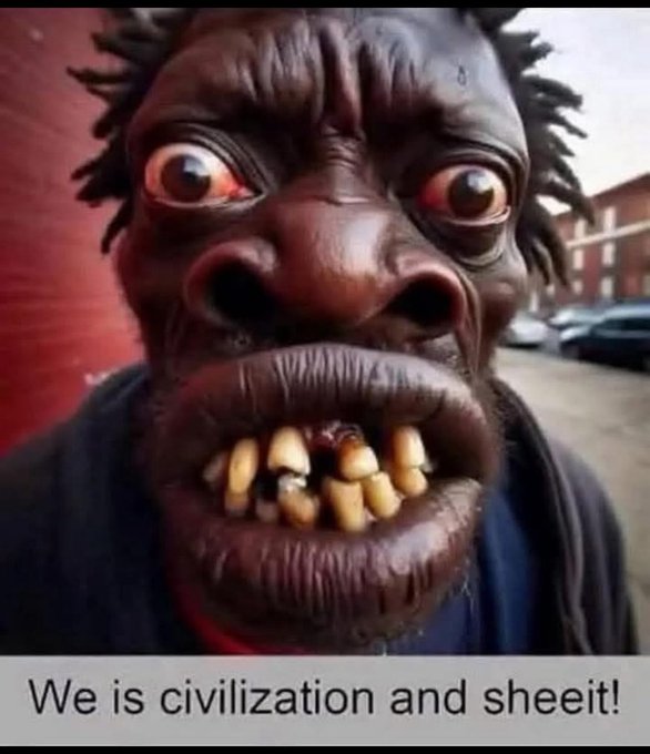 Bobbywrinkles tweet media