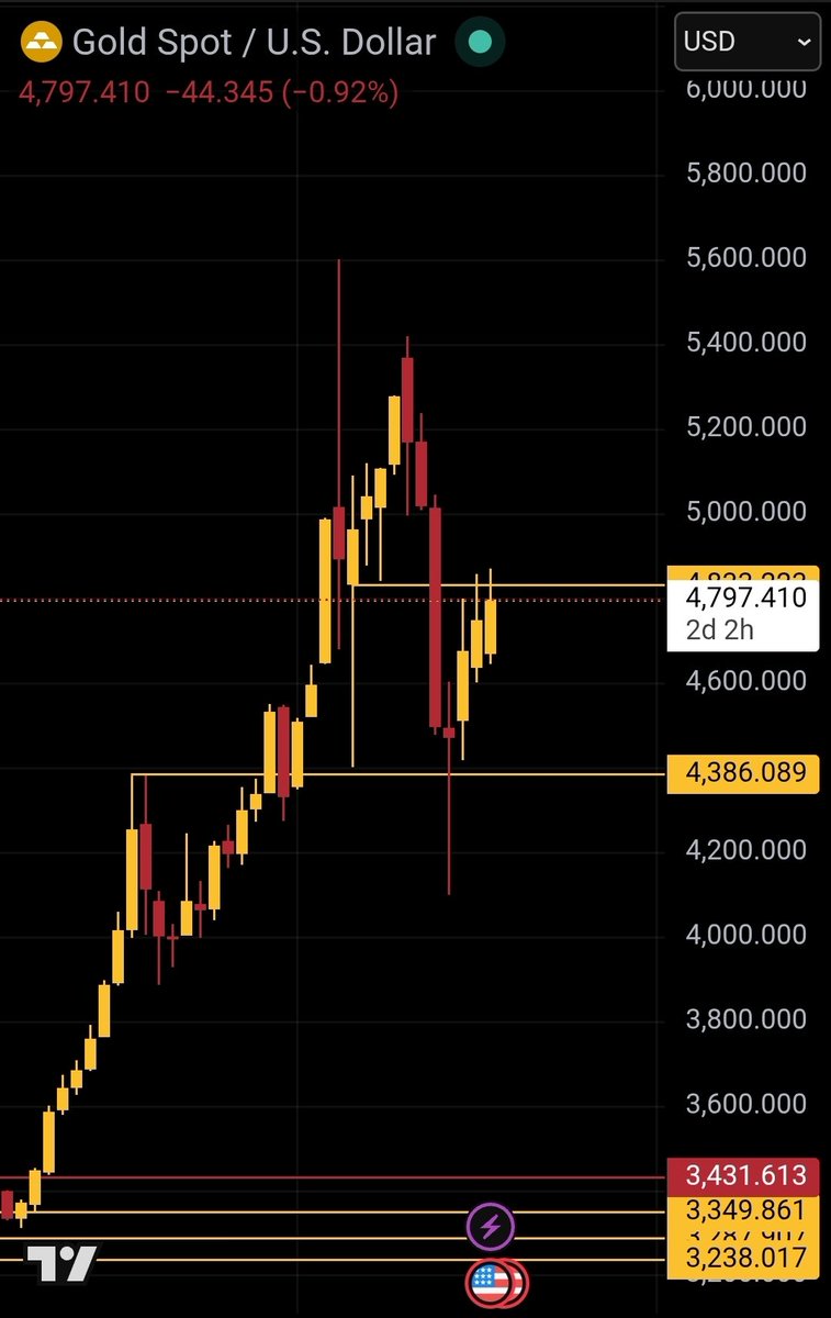 Goldenpanda.eth(🤎,🐼)🎋 👑🪙💰 tweet media