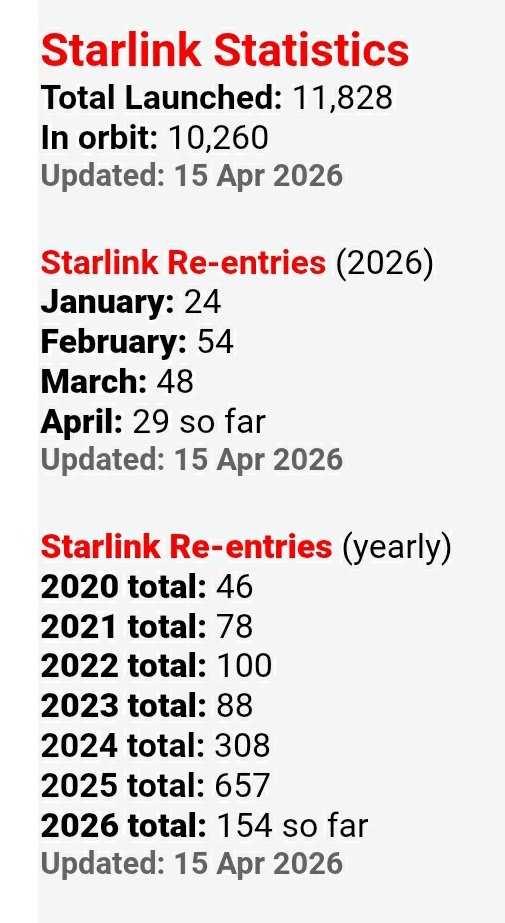 🐝 free to 🐝 free tweet media