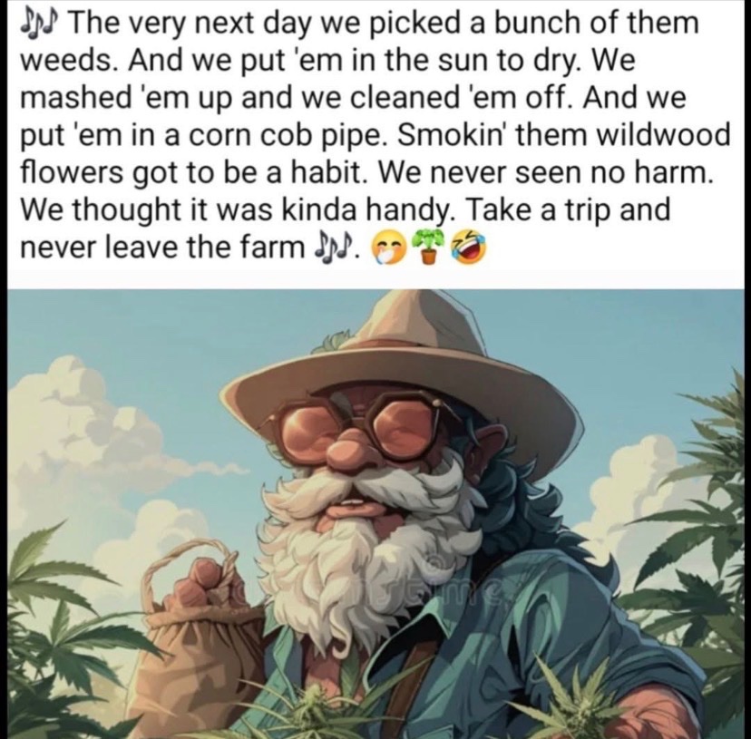 USA Trump Man 🇺🇸🇺🇸🇺🇸🇺🇸🇺🇸🇺🇸🇺🇸🇺🇸 tweet media