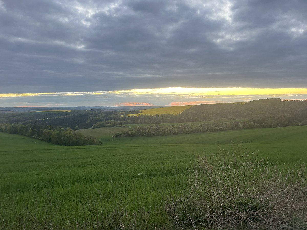 Emmanuel BONNIN tweet media