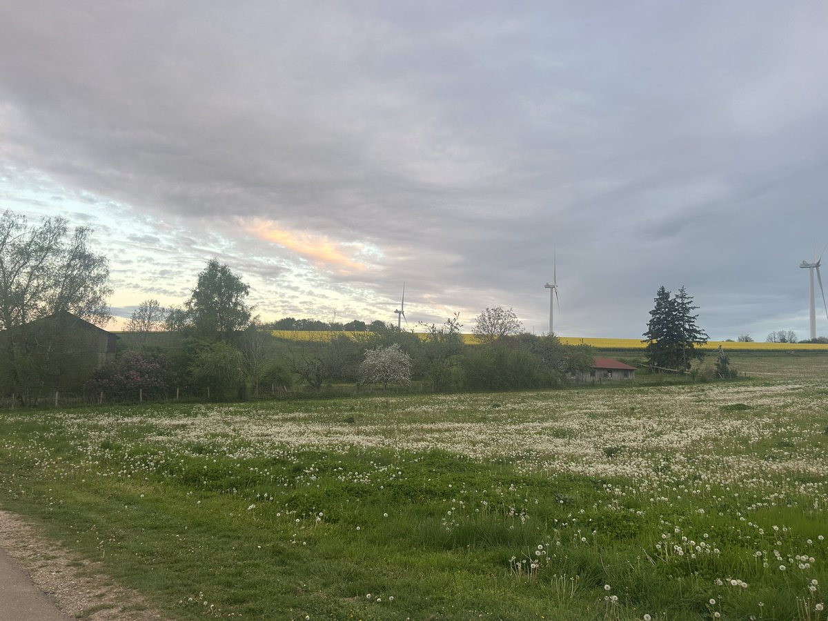 Emmanuel BONNIN tweet media