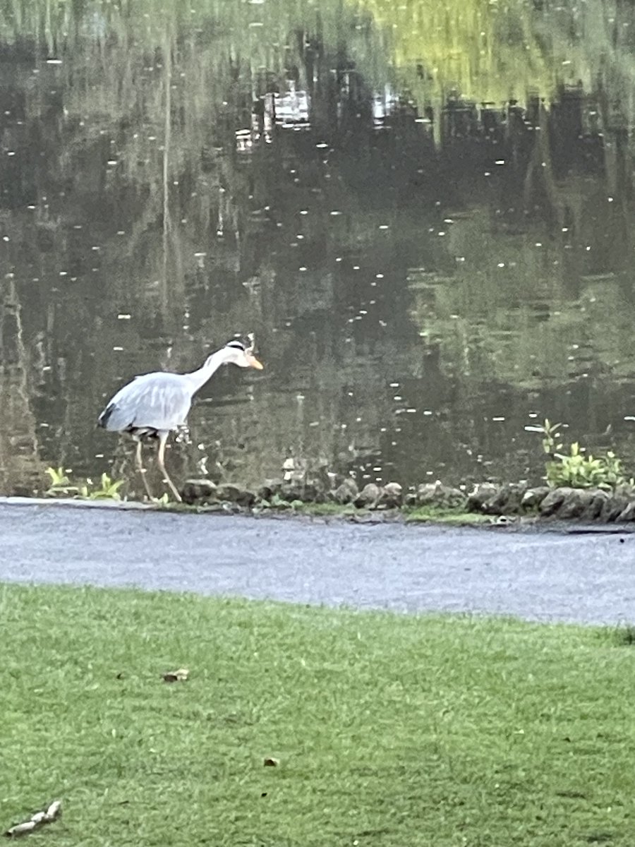 Lord Alfred’s Diary tweet media