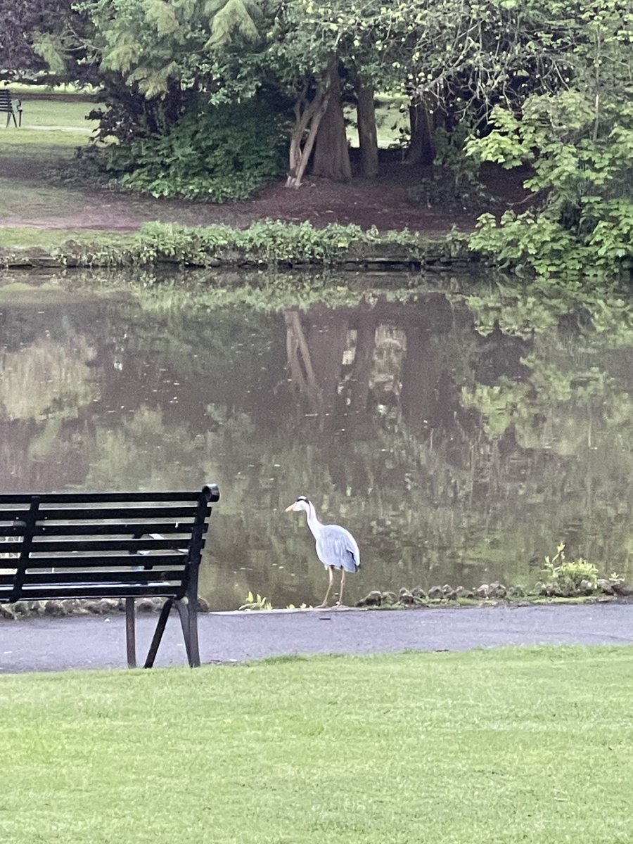 Lord Alfred’s Diary tweet media