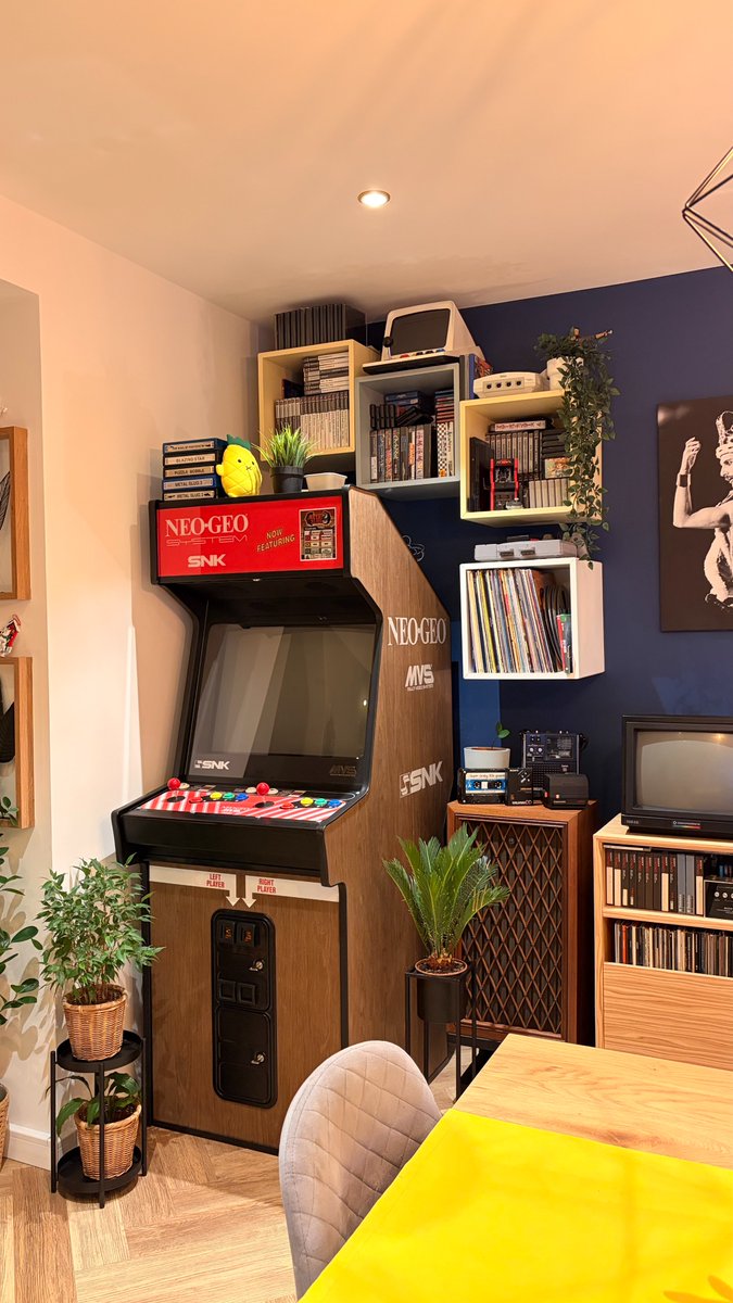 Retro Games Hunt tweet media