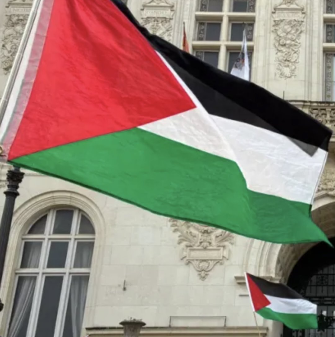 Surmulot tweet media