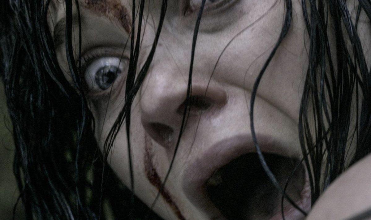 Aullidos.COM tweet media