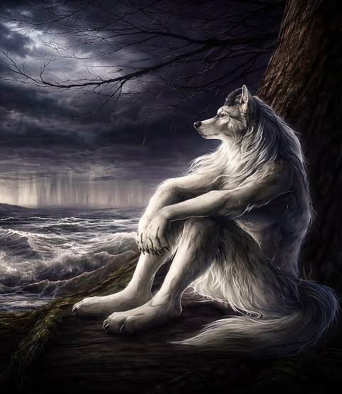 Timberwolves 🇹🇷 tweet media