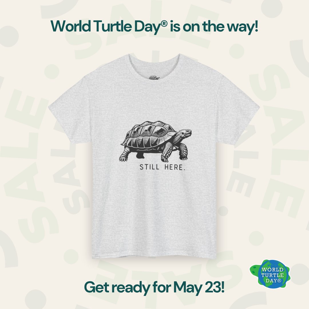 World Turtle Day® tweet media