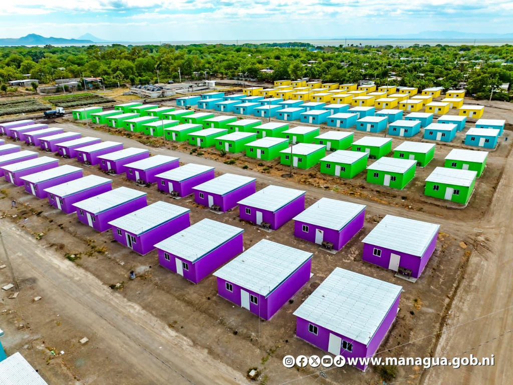 PLOMO1979 tweet media