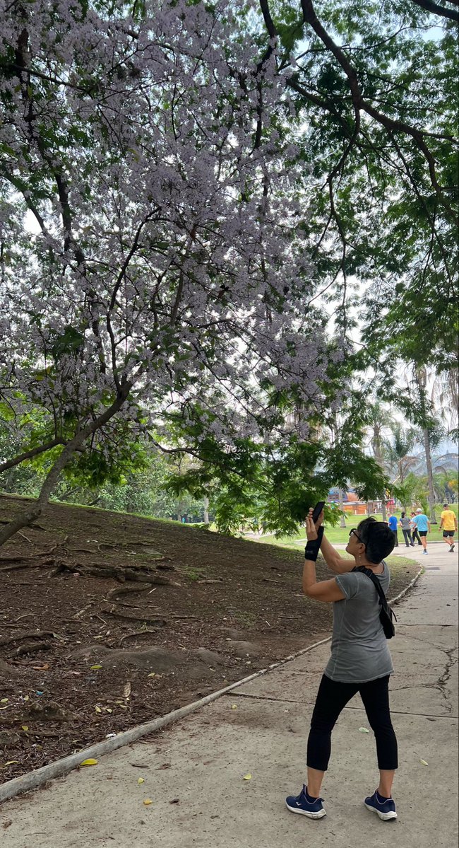 Gaby Arocha tweet media